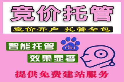 SEM托管代运营助力企业实现品牌突破